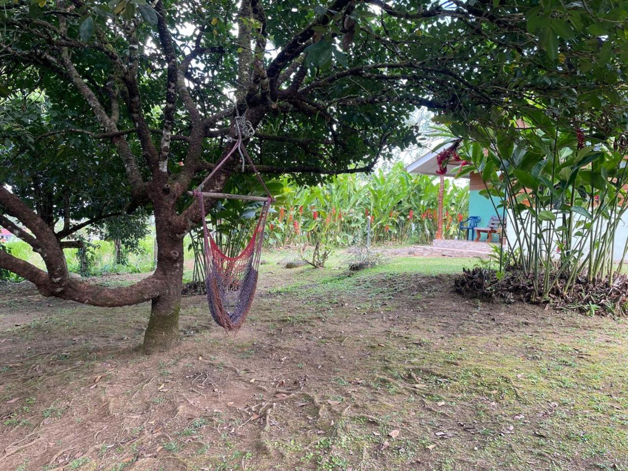 Cabaña Rural Ave del Paraíso La Fortuna Exterior foto